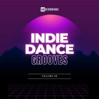 Сборник песен Indie Dance Grooves, Vol 20 (2024) MP3