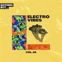 Сборник песен Nothing But... Electro Vibes, Vol 28 (2024) MP3