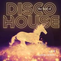 Сборник песен The Best Of Disco House Vol 4 (2024) MP3