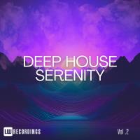 Сборник песен Deep House Serenity, Vol 02 (2024) MP3