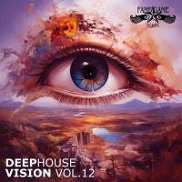 Сборник песен Deephouse Vision, Vol 12 (2024) MP3