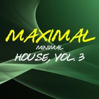 Сборник песен Maximal Minimal House, Vol 3 (2024) MP3