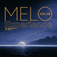 Сборник песен Melo Experience, Vol 08 (2024) MP3