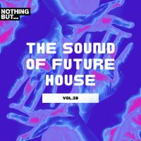 Сборник песен Nothing But... The Sound Of Future House, Vol 28 (2024)