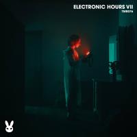 Сборник песен Electronic Hours VII (2024) MP3