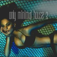 Сборник песен Only Minimal House Vol 2 (2024) MP3