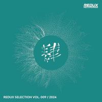 Сборник песен Redux Selection, Vol. 9 / 2024 (2024) MP3