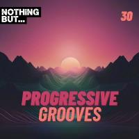 Сборник песен Nothing But... Progressive Grooves, Vol. 30 (2024) MP3