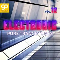 Сборник песен Electronic Pure Trance Tunes, Vol 12 (2024) MP3