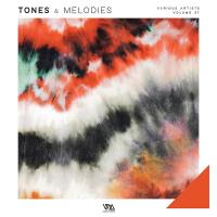 Сборник песен Tones & Melodies Vol. 27 (2024) MP3