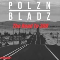 Сборник песен Polzn Bladz - The Road to 300 (2024) MP3