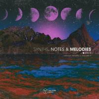 Сборник песен Synths, Notes & Melodies Vol. 9 (2024) MP3