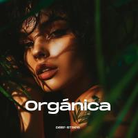 Сборник песен Organica (2024) MP3