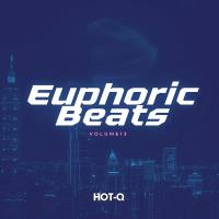 Сборник песен Euphoric Beats 013 (2024) MP3