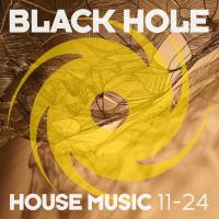 Сборник песен Black Hole House Music 11-24 (2024) MP3