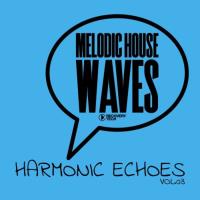 Сборник песен Melodic House Waves: Harmonic Echoes, Vol 03 (2024) MP3