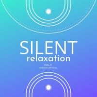 Сборник песен Silent Relaxation, Vol. 4 (2024) MP3