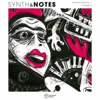 Сборник песен Synths & Notes Vol. 4 (2025) MP3