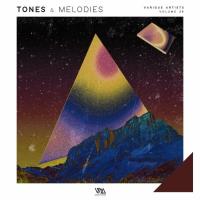 Сборник песен Tones & Melodies, Vol. 28 (2025) MP3