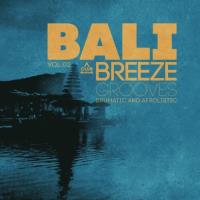 Сборник песен Bali Breeze Grooves, Vol 02 (2025) MP3