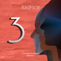 Сборник песен Countless Perceptions 3 (2025) MP3