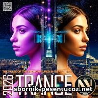 The Pulse Of The City The Pulse Of The City