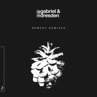 Сборник песен Gabriel & Dresden - Remedy (Remixed) (2021) MP3